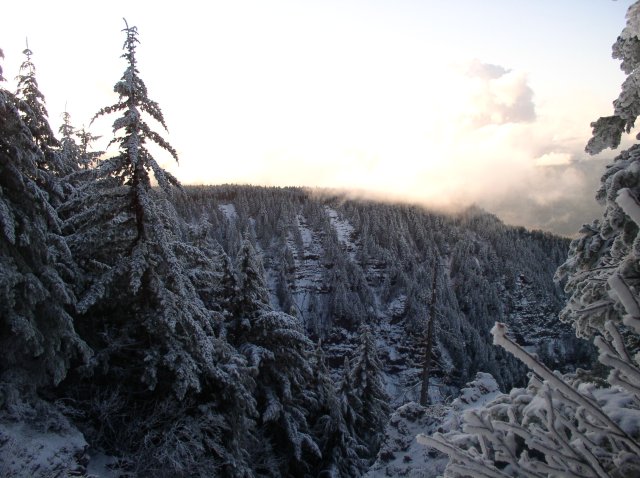 11.27.05 Nesmith Point 109 